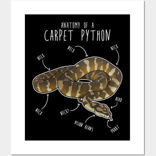 Darwin Carpet Python Snake Anatomy Posters and Art